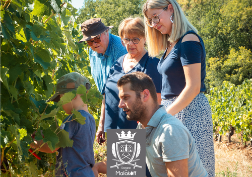Au Domaine de Malakoff, le vin a le goût de la famille… et du terroir